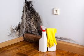 Best Asbestos and Lead Testing During Mold Inspection  in Helena, OK